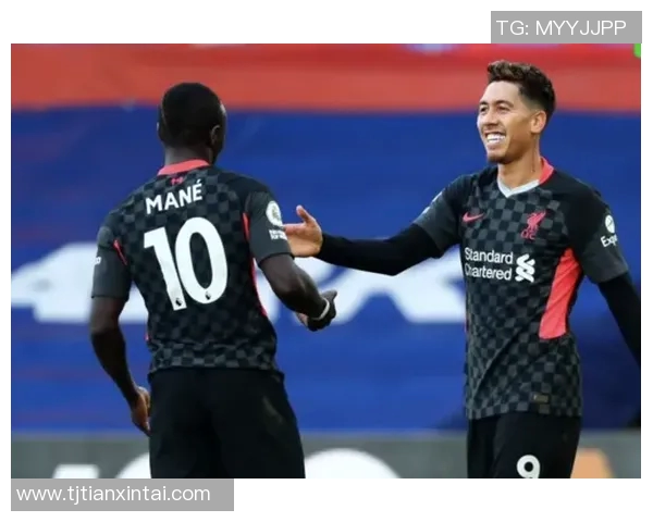 汉堡队逐渐崛起,积分榜稳步攀升