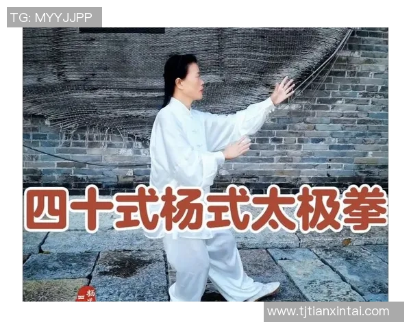 探讨太极拳的基本套路及其主要式法数量与练习意义 探讨太极拳的基本套路及其主要式法数量与练习意义