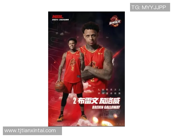 球队管理层透露猛龙将有大手笔引援计划，球迷期待新赛季表现