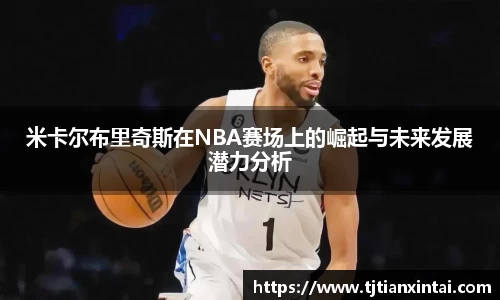 易游体育官网版